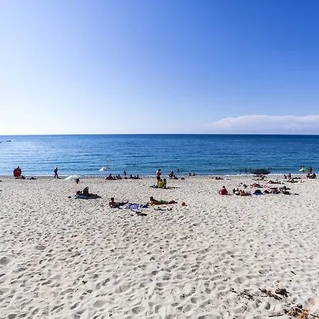 Meme * Tropea